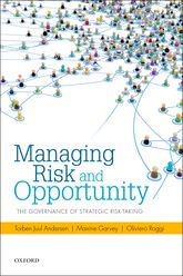 Managing risk and opportunity : the governance of strategic risk-taking