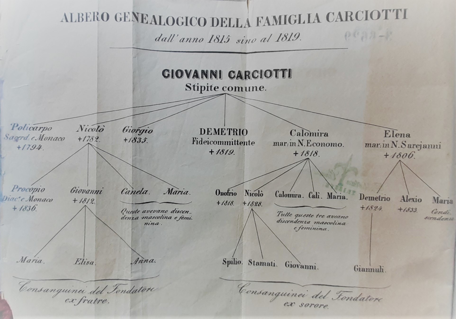 Documenti ed incorse relazioni sulla causa del fideicommisso Carciotti in Trieste : attore: Stamati Economo. Impetiti: tutte le linee chiamate nel fideicommisso