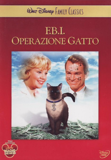 F.B.I. operazione gatto