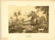 Laos Siamois : habitation laotienne