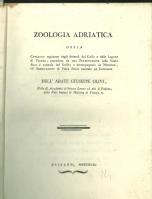 Zoologia adriatica ossia catalogo ragionato degli animali del golfo e delle lagune di Venezia, preceduto da una Dissertazione sulla storia fisica e naturale del golfo; e accompagnato da memorie, ed osservazioni di fisica, storia naturale ed economia dell'abate Giuseppe Olivi ..
